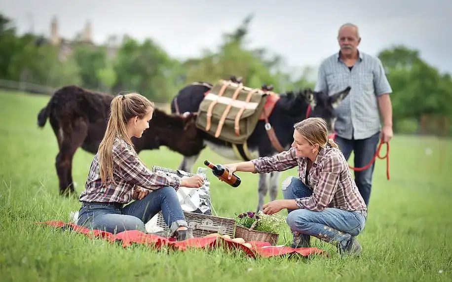 Půldenní výlet se dvěma oslíky, svezením a farmářským piknikem až pro 7 osob