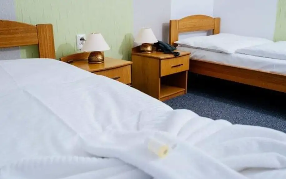 Slovensko: Nové Mesto nad Váhom v Hotelu Diana *** se snídaní/polopenzí, welcome drinkem a zapůjčením kol
