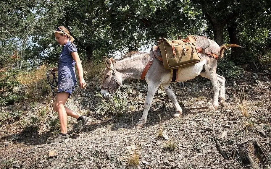 Zážitková návštěva oslí farmy včetně procházky s oslíkem
