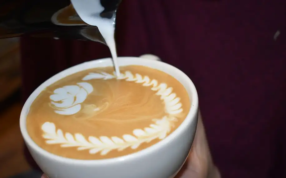 Kurz domácí přípravy kávy či latte art v Café Alegre