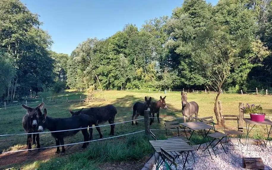 Rodinný pobyt na farmě v Českém ráji s nocováním v jurtě, piknikem a procházkou s oslíkem