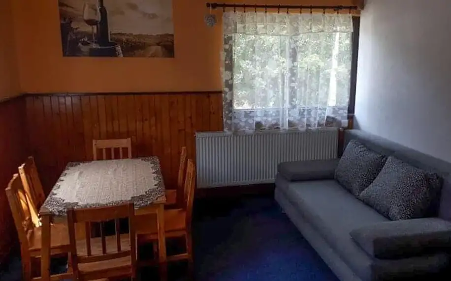 Orlické hory: Deštné v Apartmánu Věrka až pro 8 osob s kuchyní, obývacím pokojem, krbem a snídaní/polopenzí