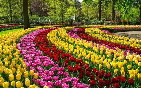 Květinový park Keukenhof, Amsterdam