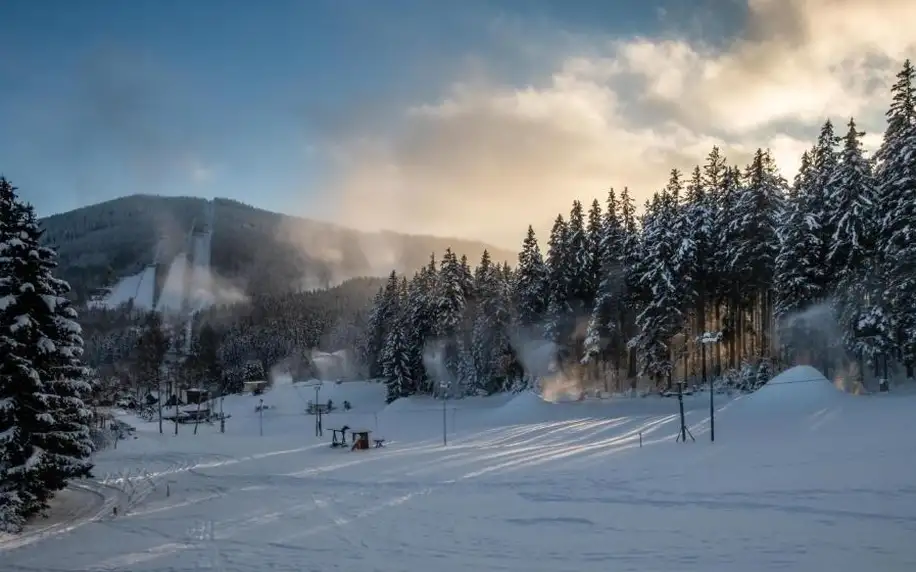 Krkonoše: Hotel Šedý vlk