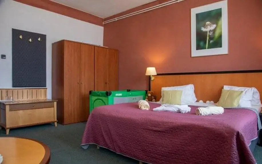 Krušné hory: Jáchymov u Božídarského rašeliniště v Hotelu Berghof *** s polopenzí + kulečník a vyžití pro děti