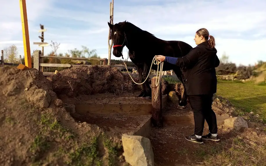 Farmářem na zkoušku: práce se zvířaty i jízda na koni