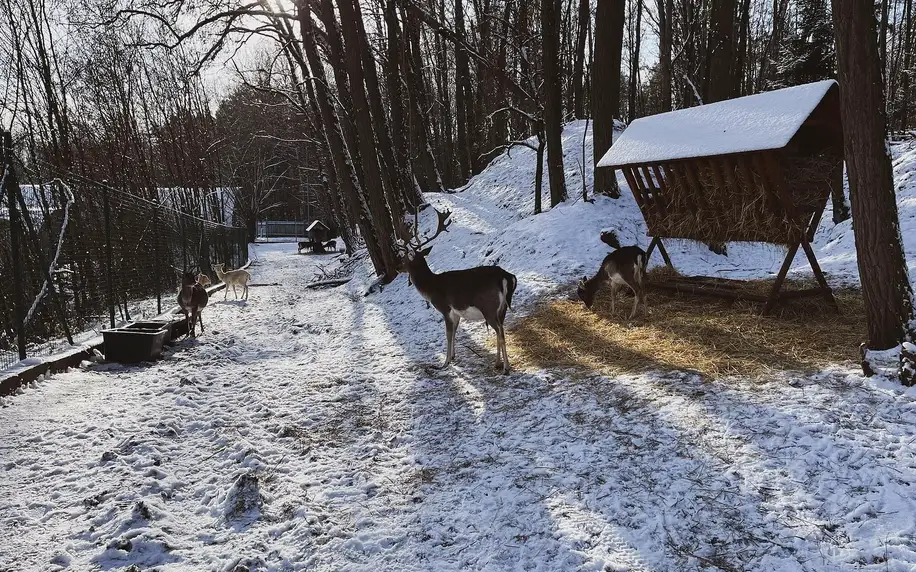 Farmapark u Toma: VIP prohlídky i Den ošetřovatelem