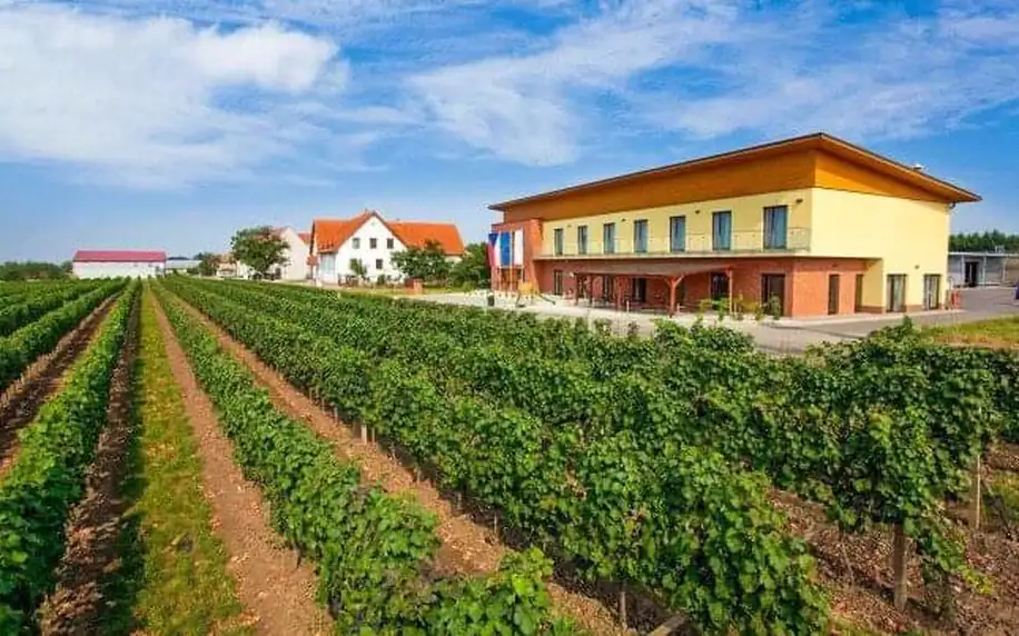 Jižní Morava: Velké Bílovice ve Vinařství Skoupil s chutnými snídaněmi a možností degustace či půjčení kol