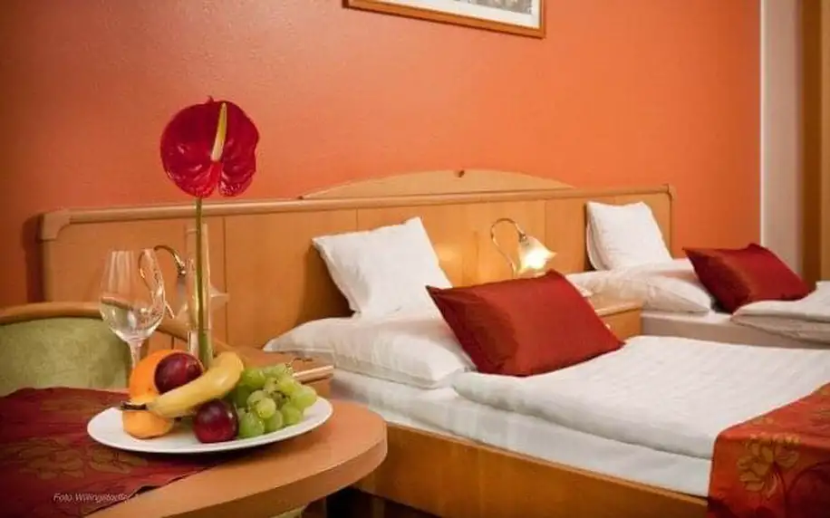 Maďarsko: Győr ve 3* budově Hotelu Kálvária s wellness a snídaní či polopenzí + vstupenka do lázní nebo ZOO