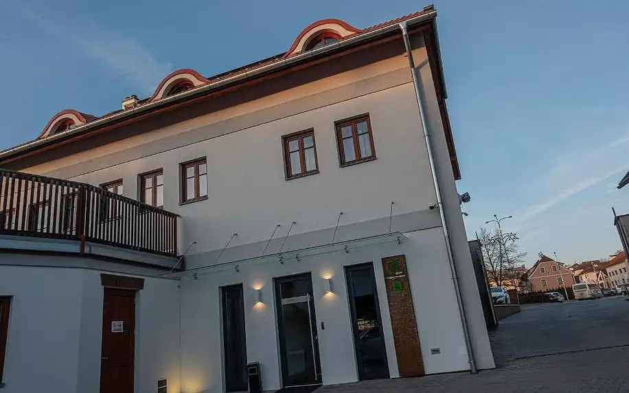 Mladá Boleslav, Středočeský kraj: Hotel Grunt