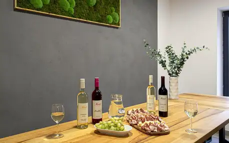 Degustace vín z Kobylí nebo piknik na vinici