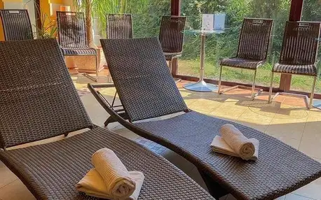 Vyškov, Jihomoravský kraj: Active Wellness hotel U zlaté rybky