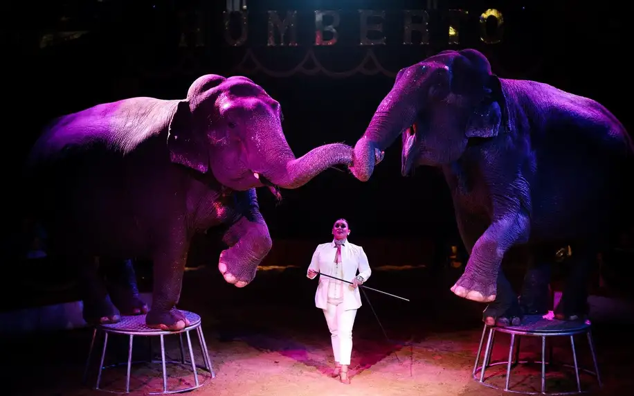 Nejnovější show Cirkusu Humberto v Prachaticích