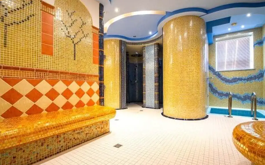 Velký Meder ve Spa & Wellness Hotelu Orchidea *** s polopenzí + vstup do termálního aquaparku Thermal Corvinus