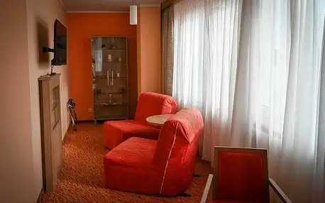 Jaroměřice nad Rokytnou u zámku v Hotelu Opera *** se snídaní/polopenzí, drinkem a privátní saunou + bowling