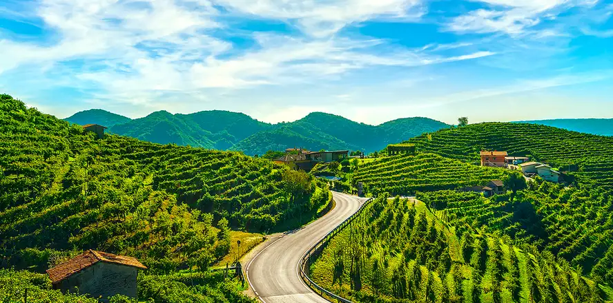 Silnice kolem vinic v Itálii
