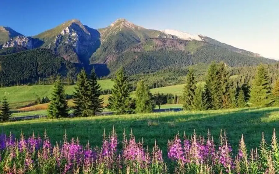 Belianské Tatry: Ždiar nedaleko Stezky korunami stromů a atrakcí v Penzionu Patrik s polopenzí a úschovnou kol