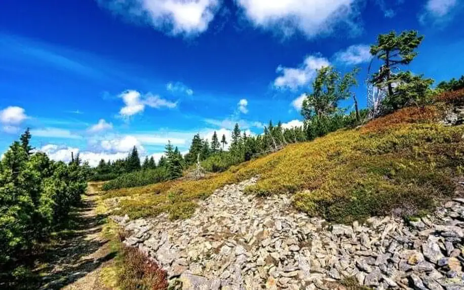 Krkonoše: Pobyt v Chatě pod Lipami s polopenzí, venkovním bazénem, kávou s dezertem a slevou na wellness