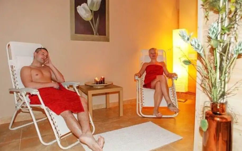 Vysočina v Dependanci či Hotelu Renospond s polopenzí až 6 wellness procedurami (masáže, zábaly, obklady)