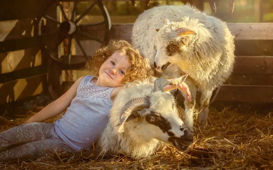 Focení s ovečkou či poníkem pro děti i celou rodinu