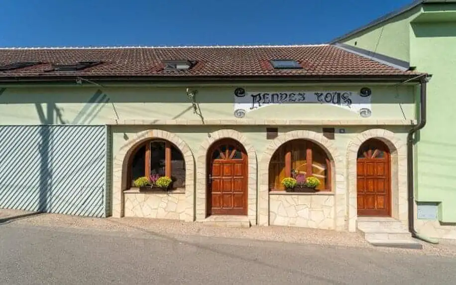 Jižní Morava: Vinařský pobyt u zámku Valtice v Penzionu Rendezvous se snídaní a ochutnávkou vín + občerstvení
