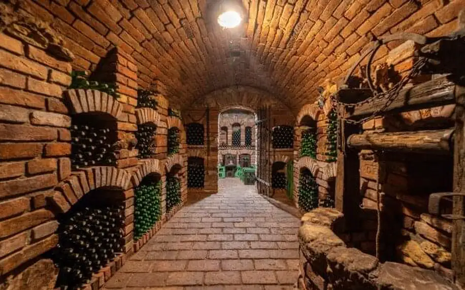 Jižní Morava: Vinařský pobyt u zámku Valtice v Penzionu Rendezvous se snídaní a ochutnávkou vín + občerstvení