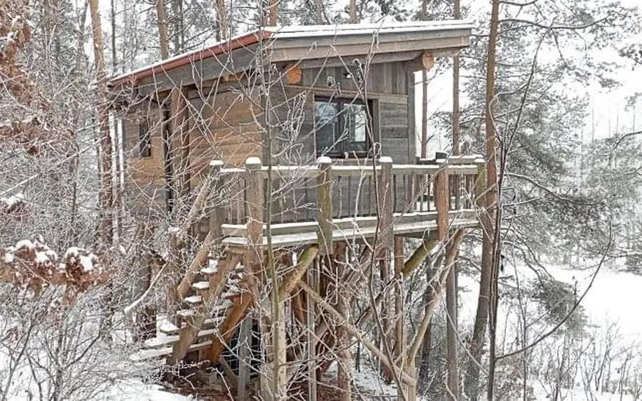 Netradiční pobyt v přírodě nedaleko Třebíče: Unikátní dům na stromě Treehouse Sokolí vč. snídaňového balíčku