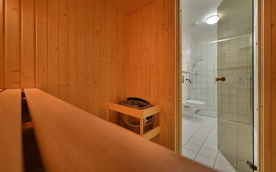 Lipno: apartmán se saunou i snídaně či polopenze
