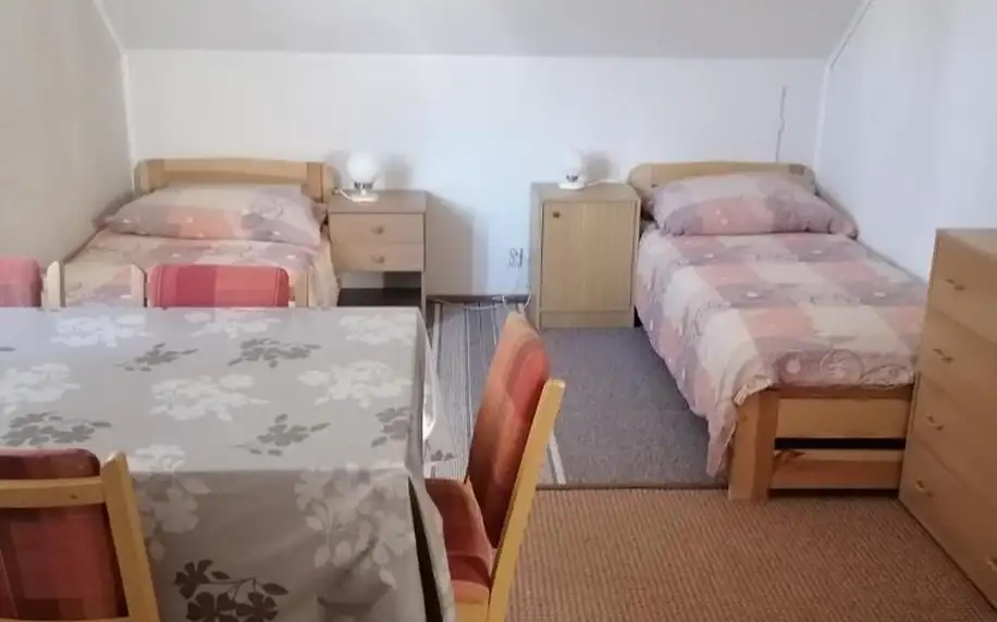 Orlické hory: ubytování v apartmánu