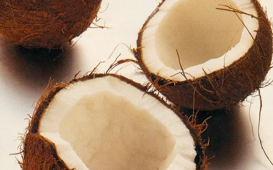 Kokosový sen - thajská kokosová masáž