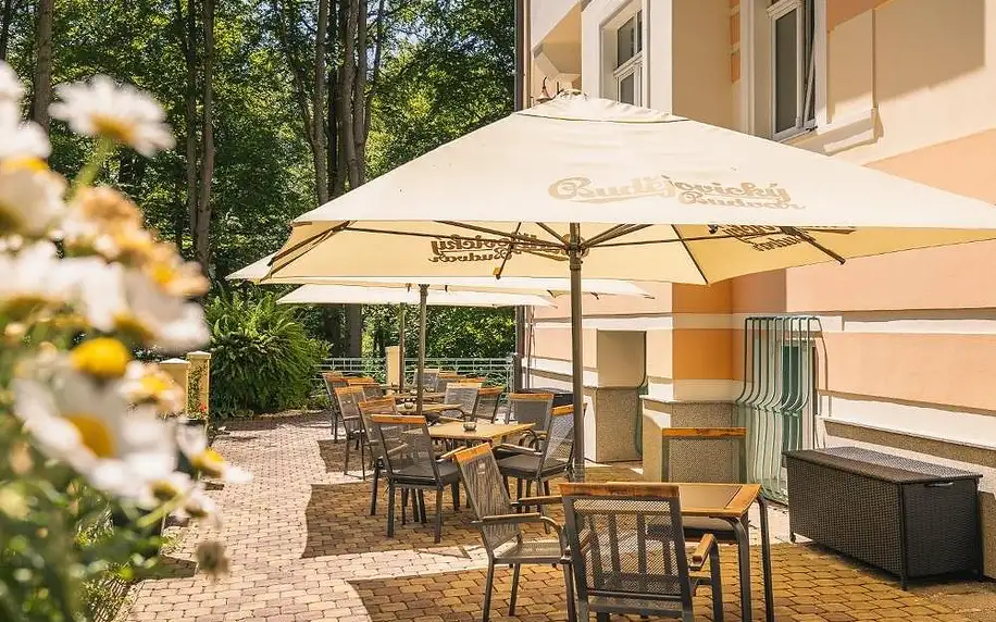 Západočeské lázně: Villa Savoy Spa Park Hotel