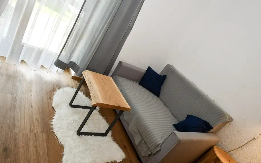 Moderní apartmán na německé straně Šumavy 300m od skiareálu