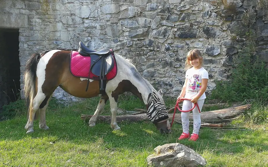 Vyjížďky na koni: pro děti i dospělé