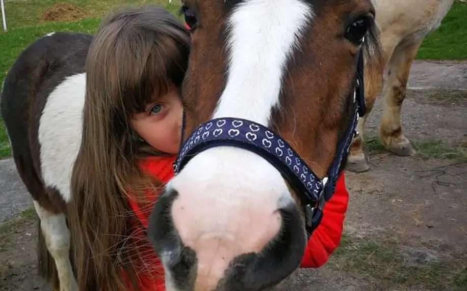 Vyjížďky na koni: pro děti i dospělé