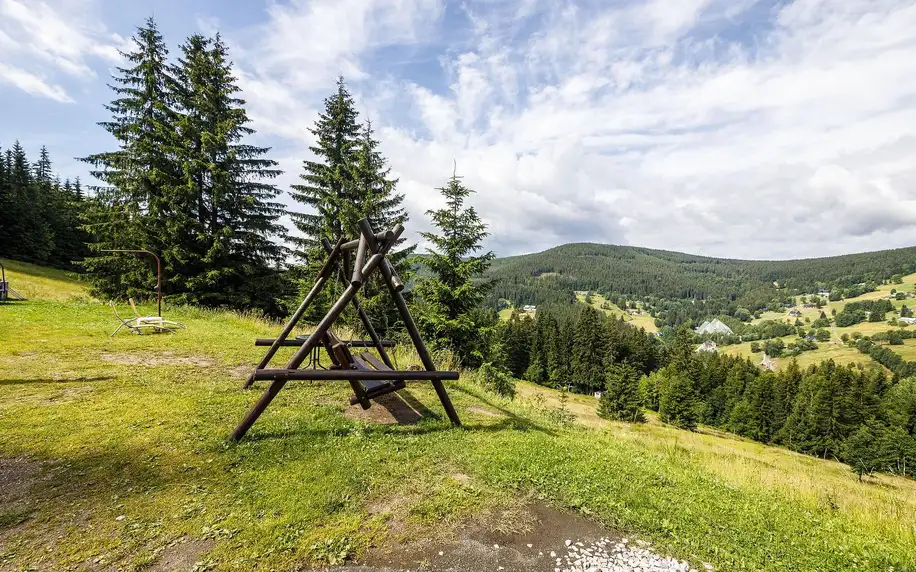 Penzion v Krkonoších s polopenzí a saunou