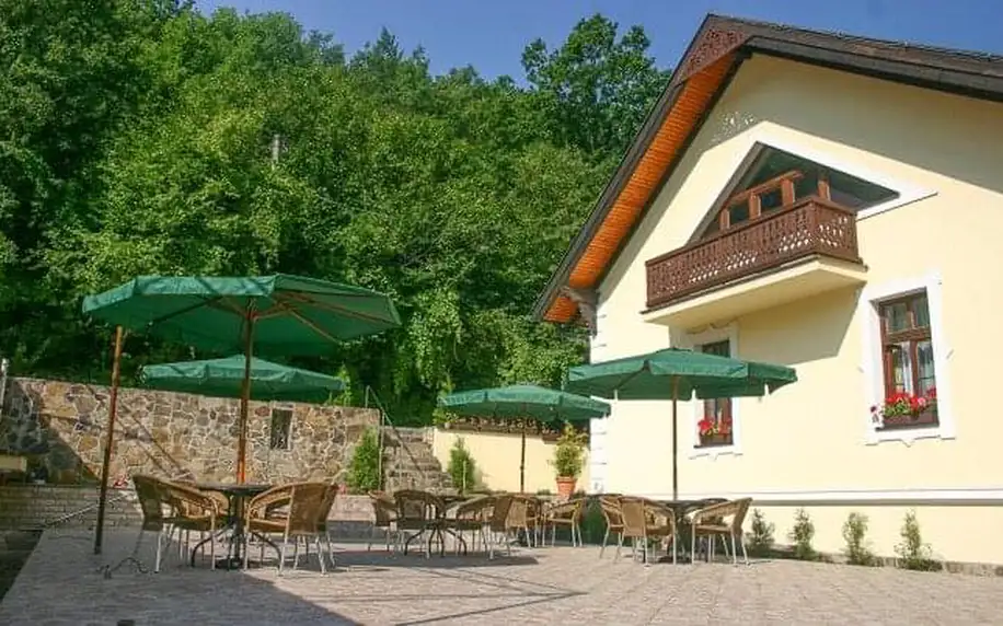 Košice jen 6 km od centra v Penzionu Zlatý Jeleň *** s bazénem, snídaní a slevou do zoo i botanické zahrady