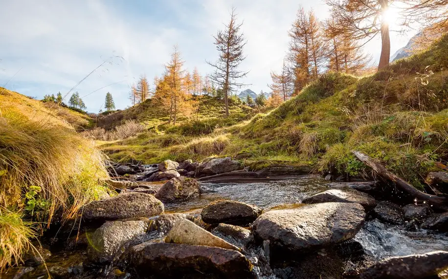 Pobyt v údolí Gastein: polopenze, wellness i aktivity