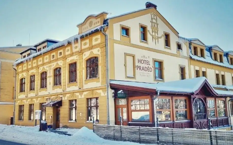 Olomoucký kraj: Hotel Praděd Thamm