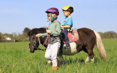 Prohlídka koňské farmy a pro děti jízda na poníkovi