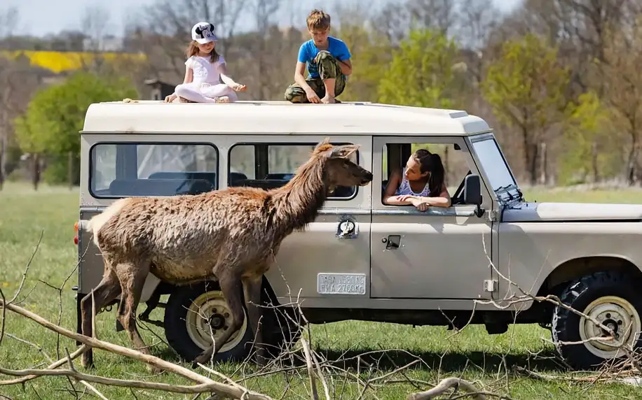 Poznejte safari a pečujte o velblouda či oslíka