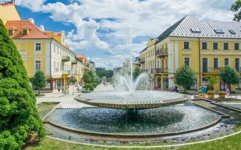 Penzion Žírovice 2,5 km od Františkových Lázní s polopenzí, privátním wellness, láhví vína a kávou s dezertem