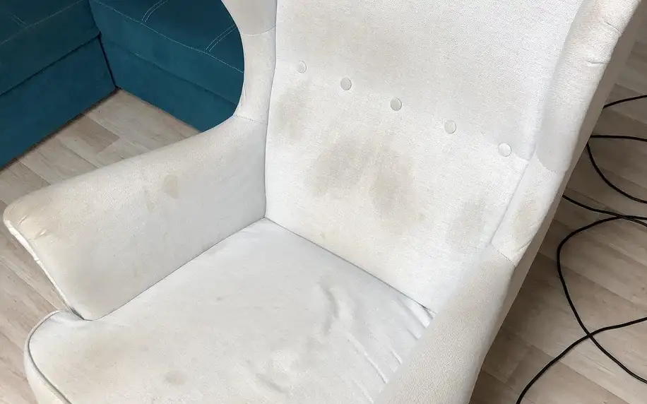 Profesionální mokré čištění čalouněného nábytku