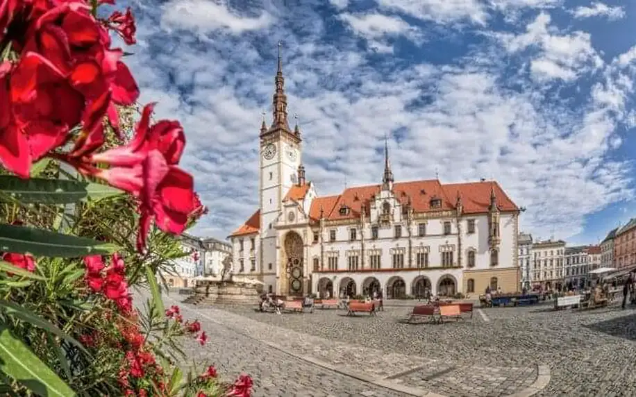 Pobyt v přírodě u Olomouce ve stylovém TINY HOUSE Black Swallow až pro 4 osoby + snídaně a venkovní bazén