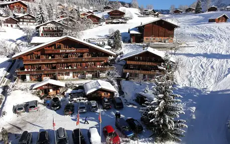 Švýcarsko - Berner Oberland na 4-8 dnů, polopenze