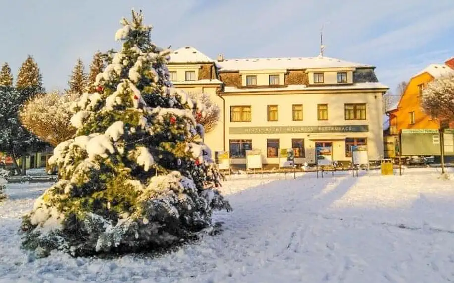 CHKO Žďárské vrchy u Pohádkové vesničky v Hotelu Sněžné *** s wellness (vířivka a 2 sauny) a polopenzí