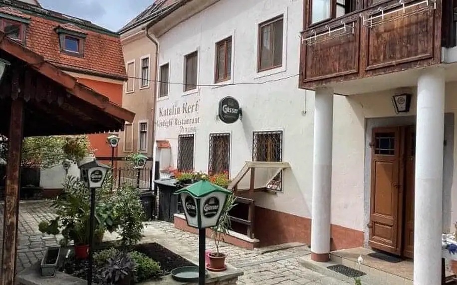 Győr jen 550 m od termálů Rába Quelle v Penzionu Katalinkert se snídaní a celodenní vstupenkou do lázní
