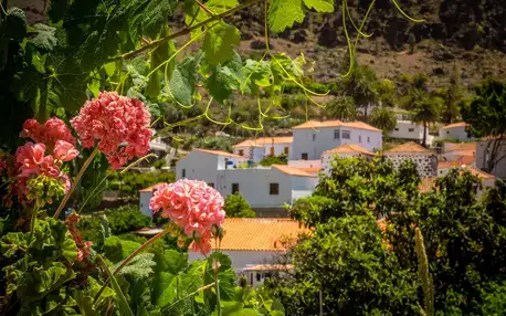 Gran Canaria: 8denní cesta - Bungalows Vistaflor