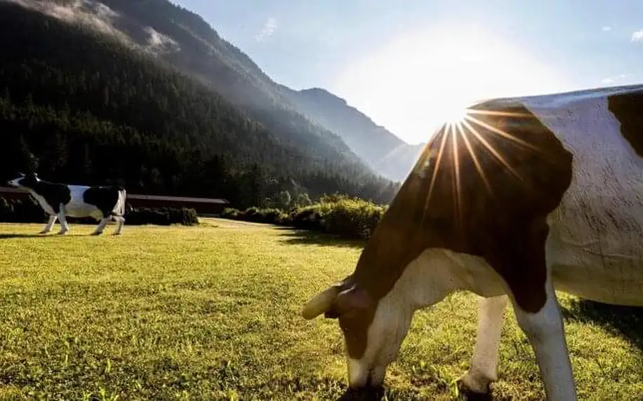 Tyrolsko v Elaya Hotel Steinplatte **** s polopenzí a neomezeným wellness (2 000 m²) s bazény a saunami