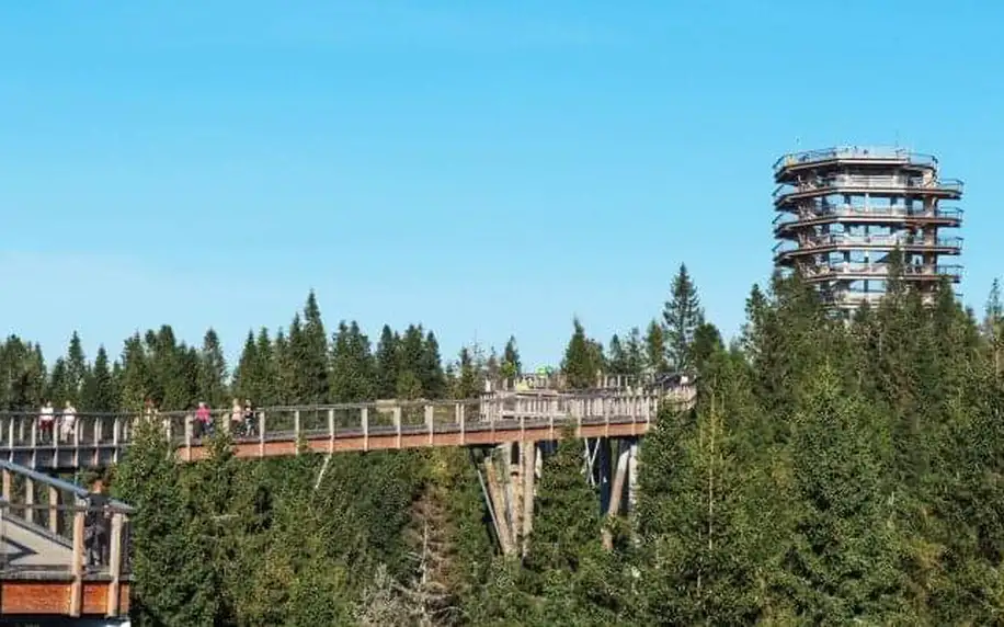 Belianské Tatry: Ždiar ve Winter & Summer Resortu *** s polopenzí, privátní vířivkou a dětským koutkem