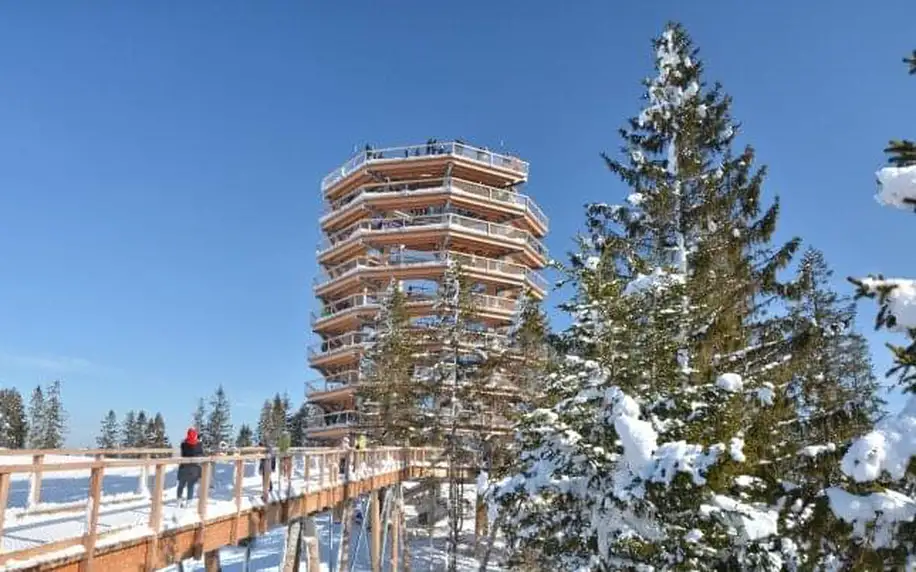 Belianské Tatry: Ždiar v baby friendly Mountain Resortu Apartments se snídaní formou bufetu a láhví Prosecca